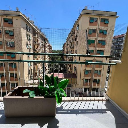Luciano Queen'S Guest House Рим Экстерьер фото